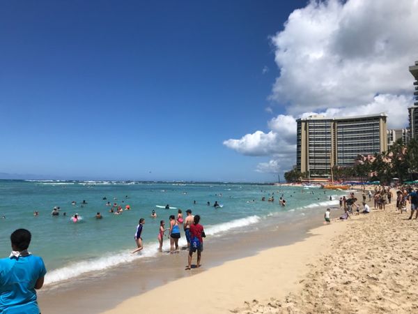 アメリカ(米国)・ハワイ、ホノルル、ハレイワ「ハワイ旅行」の写真：ワイキキ
