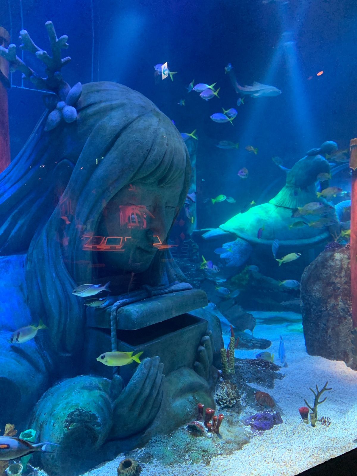 レゴランドリゾートにはなんと水族館もありました。

子供が見やすく、広...