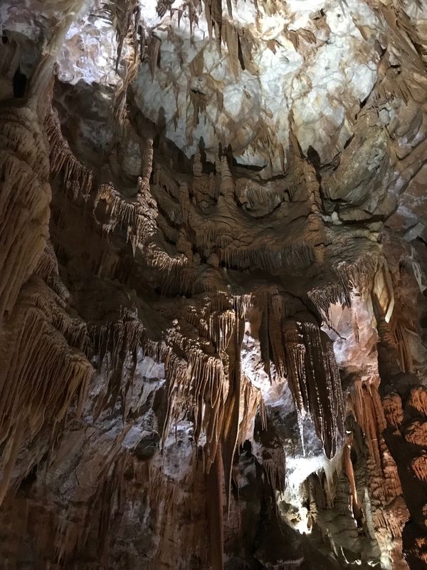 オーストラリア連邦・ゴールドコースト、シドニー、ブルーマウンテン「Australia」の写真