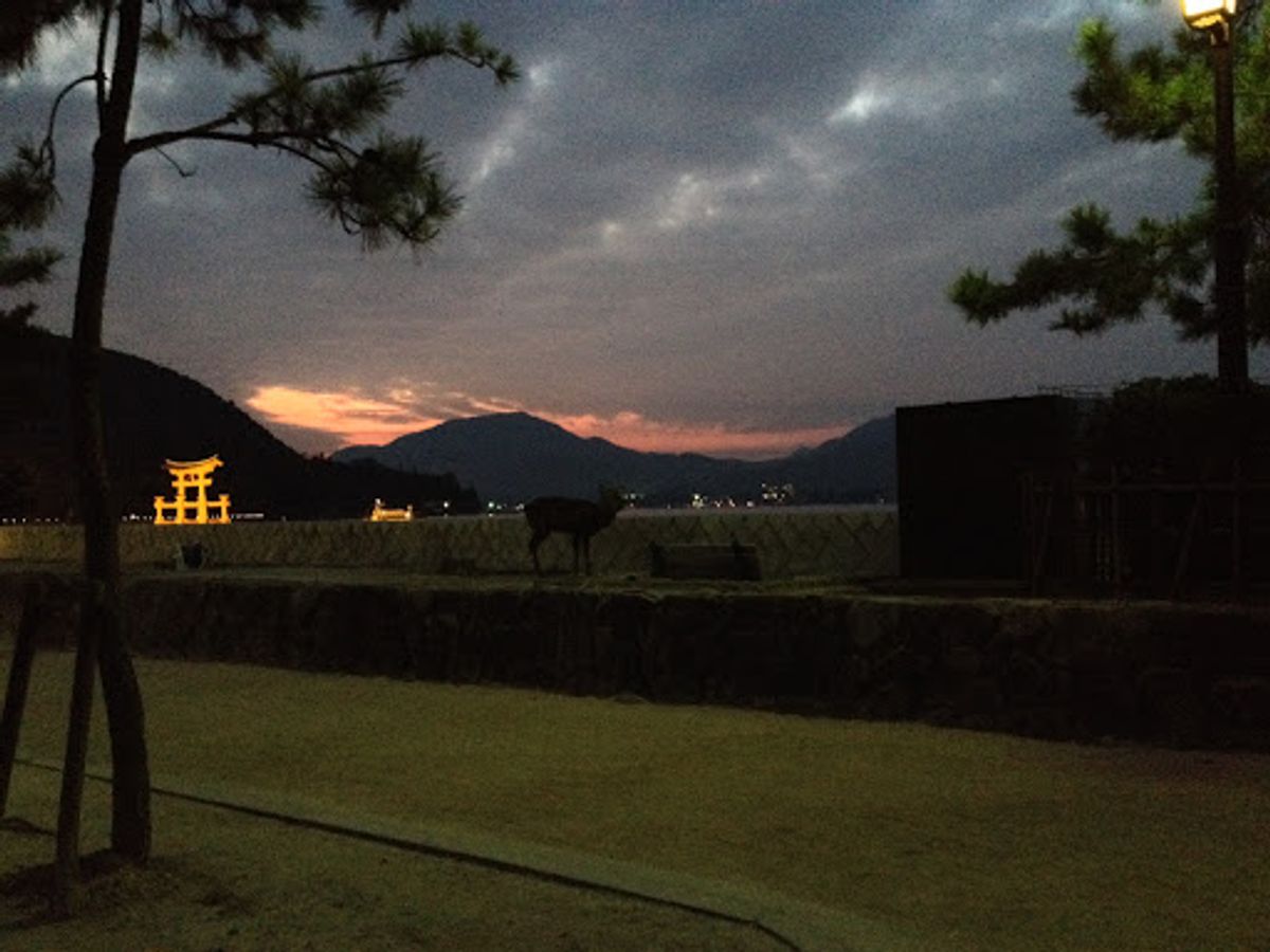 穏やかな海に浮かぶ鳥居と、背後の山が日本らしい。
暮れていく空に吸い込ま...
