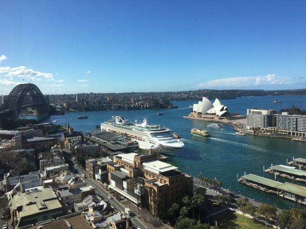 オーストラリア連邦・シドニー「シドニーぷらり」の写真：ステーキは「ミート＆ワイン コー」
ポテ...