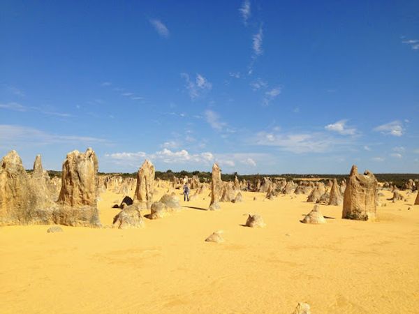 オーストラリア連邦・パース「パース」の写真：ピナクルズ
フリーマントルでお買い物
ス...