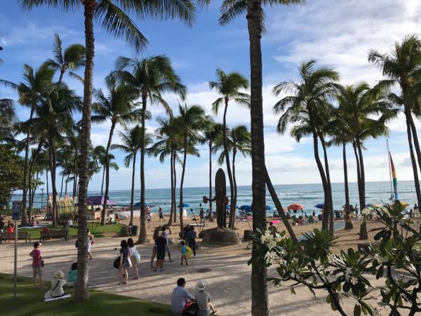 「ハワイ」の写真