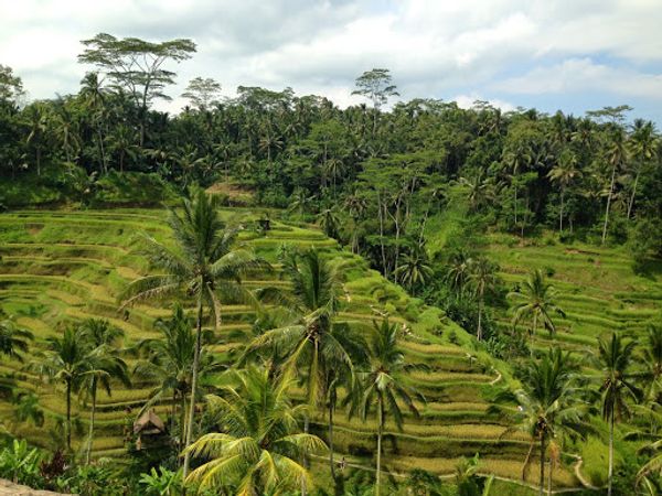 インドネシア・バリ島「バリ島」の写真