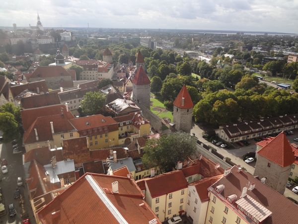 エストニア「タリン🇪🇪」の写真