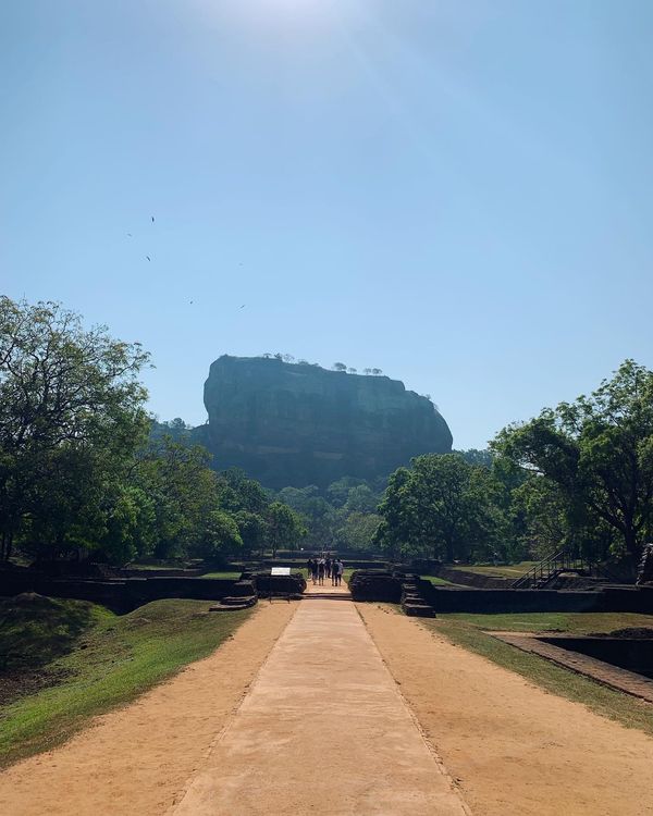 スリランカ「スリランカ🇱🇰」の写真
