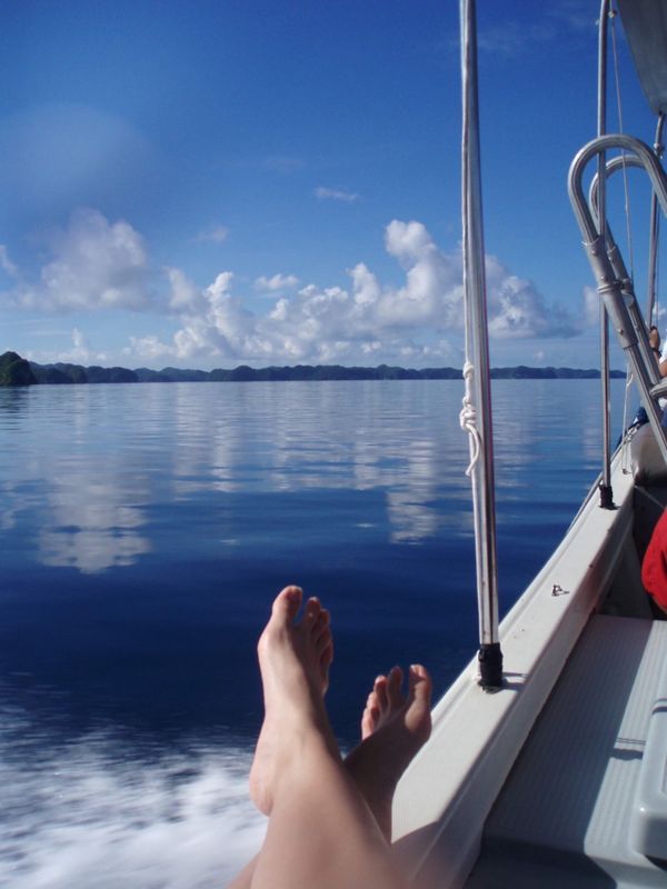 パラオ・ブルーホール「Diving in Palau」の写真