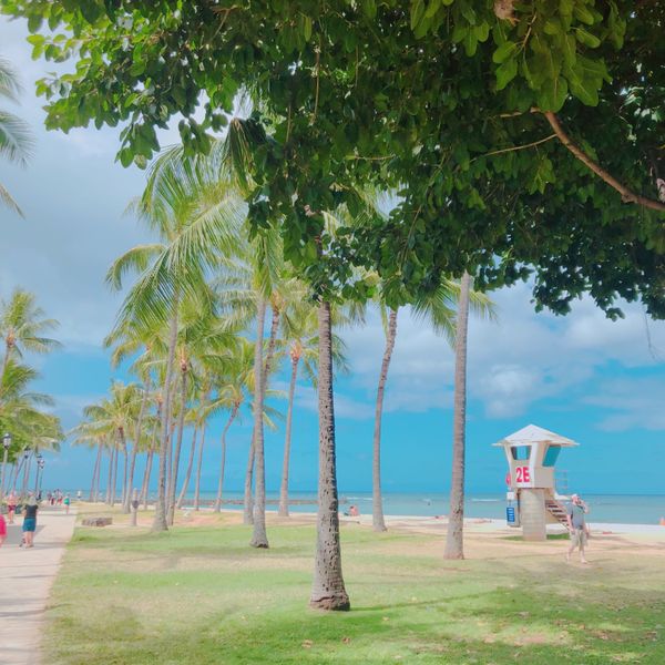 アメリカ(米国)・ハワイ「ハワイ」の写真