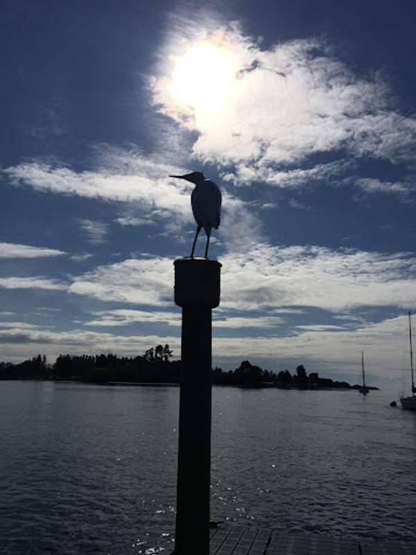 ニュージーランド「ニュージーランド一人旅」の写真