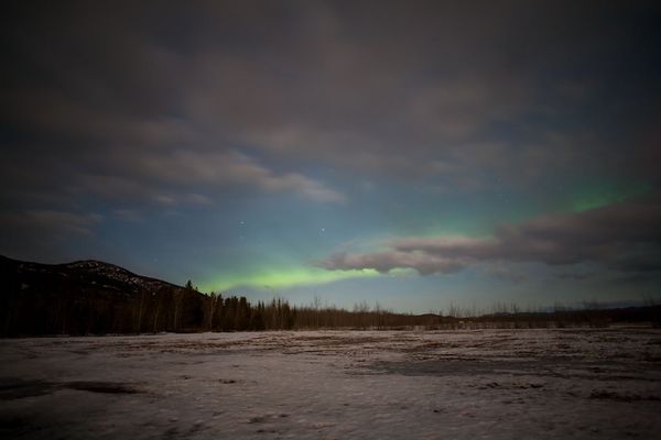 カナダ・ホワイトホース「オーロラ一人旅」の写真