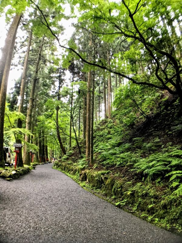 日本「Kyoto&Nara」の写真