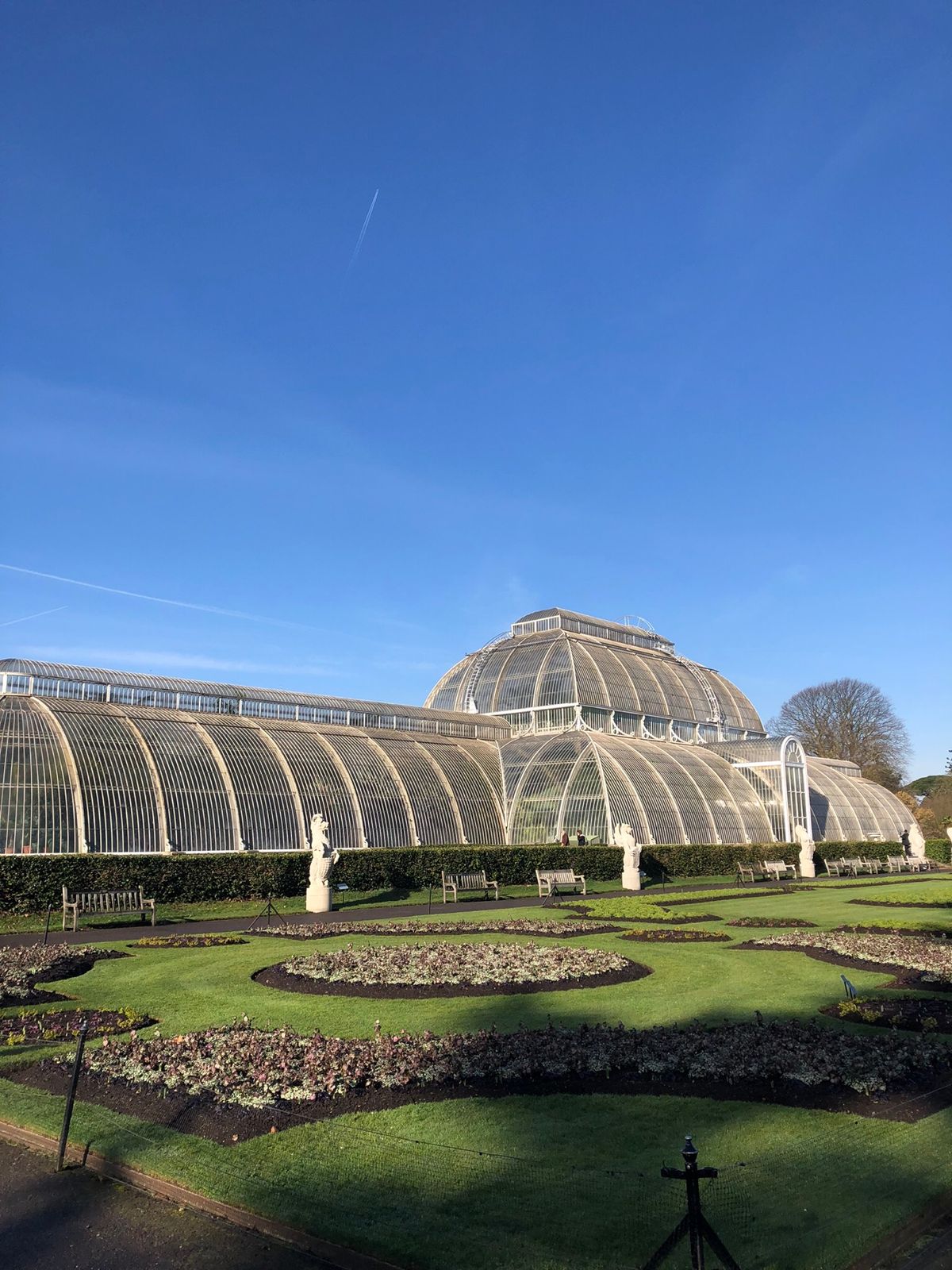 Five guysなのは知ってる。けど、久しぶりにどうしても食べたくって…