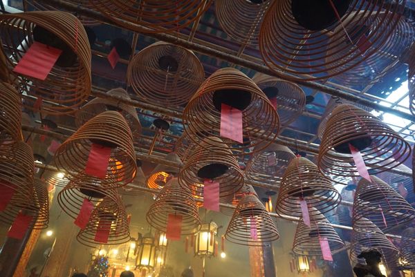 香港・香港「香港 子連れ旅」の写真