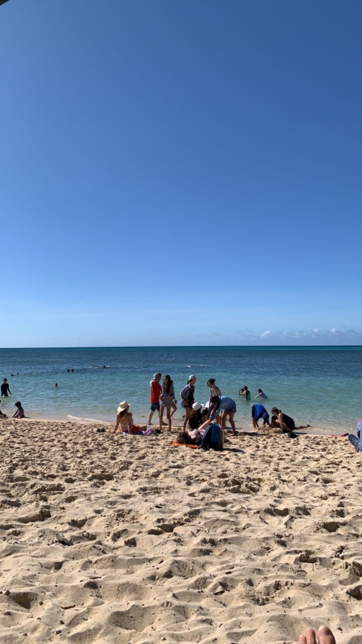 グリーン島で、ちょっと悩んだけど、シュノーケルしてみたら、かなーり楽しかっ...