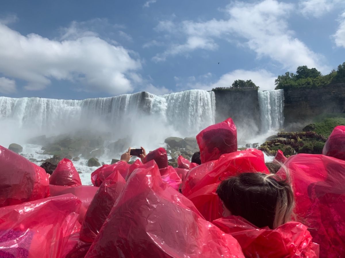 2019/08/19 《ホーンブロワー霧の乙女号》
awesome!