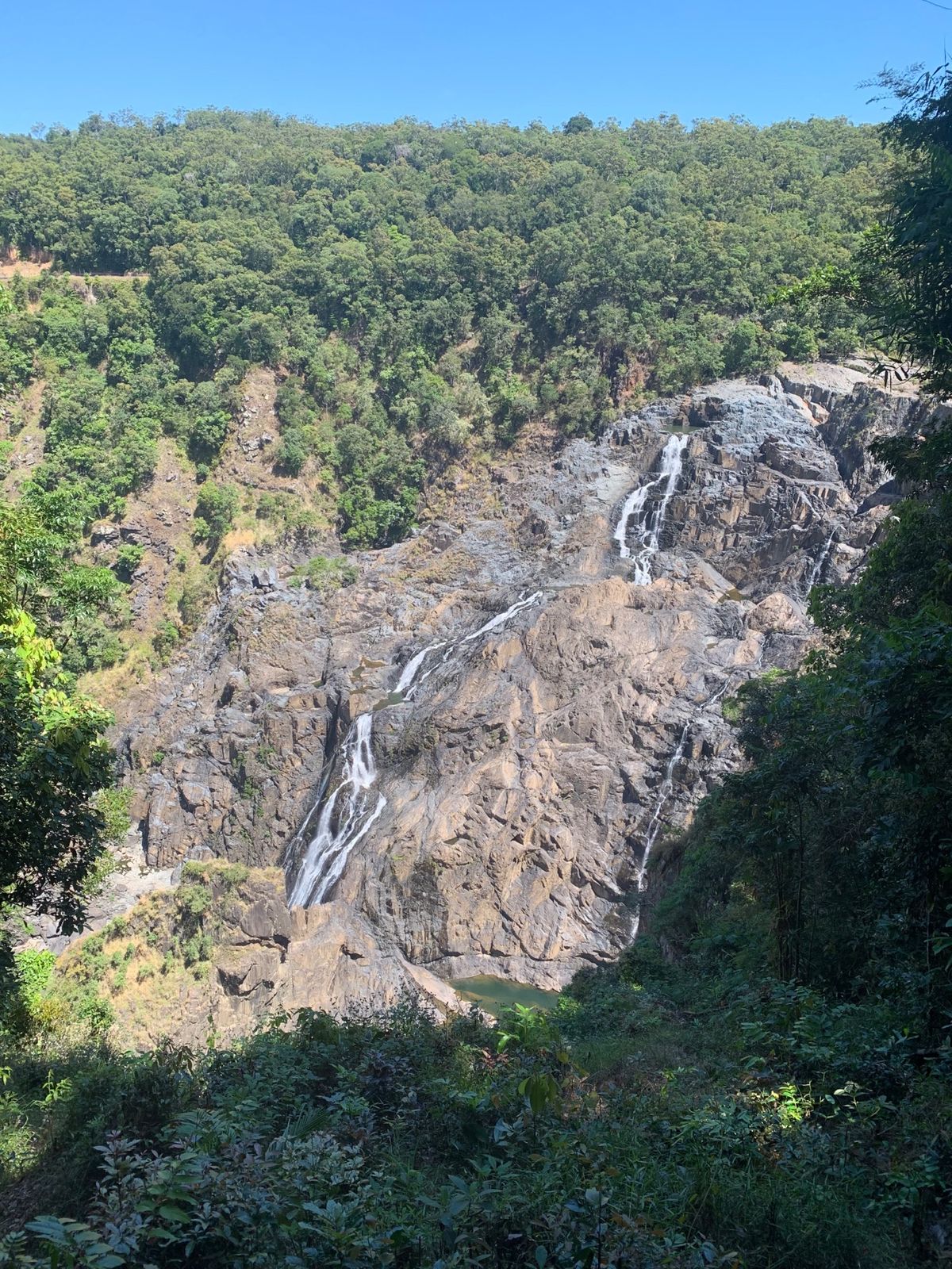 今日はキュランダに。

行きはスカイレールで。帰りはキュランダ鉄道。

キ...