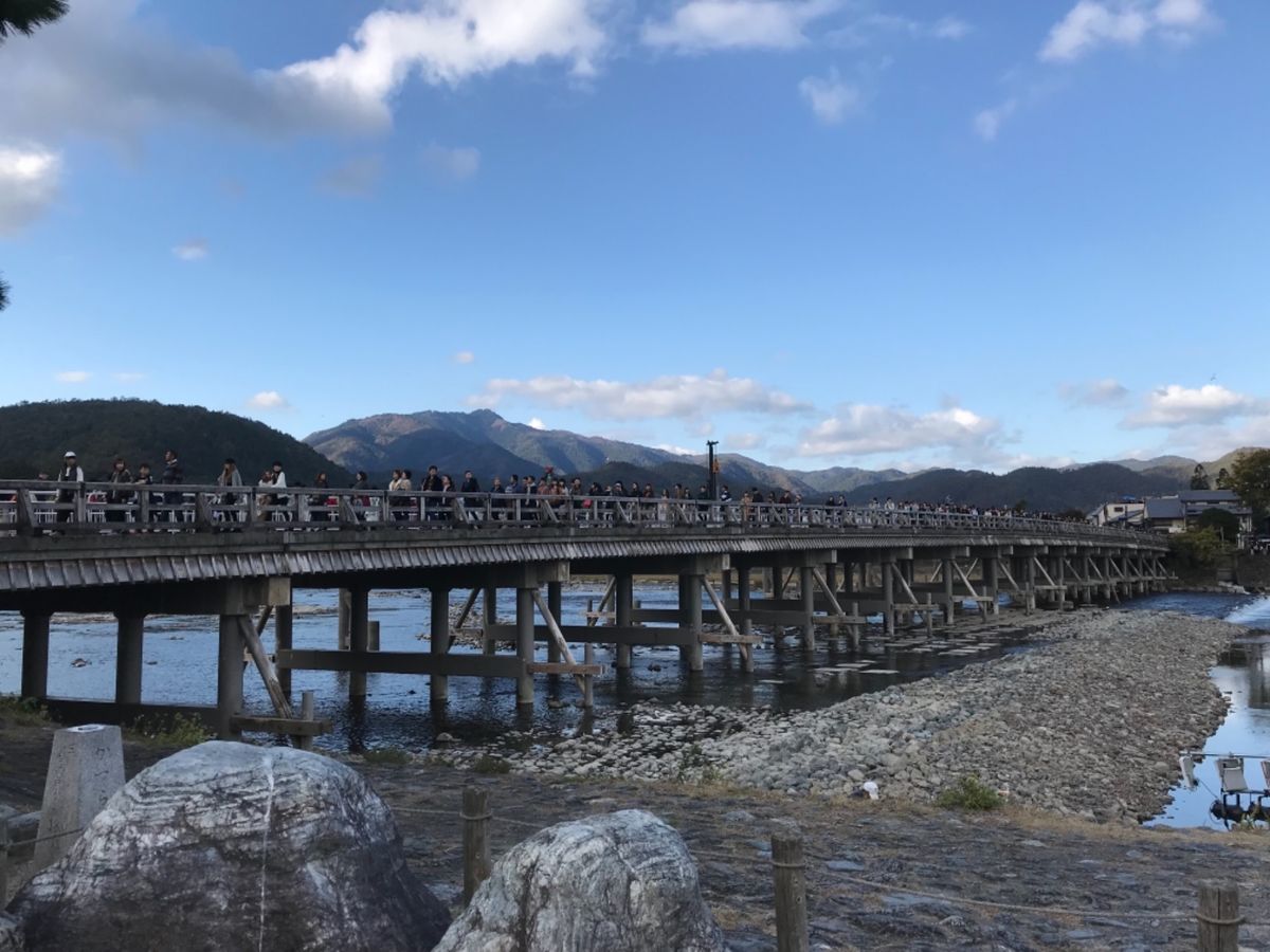 松尾大社・鈴虫寺・渡月橋へ‼︎