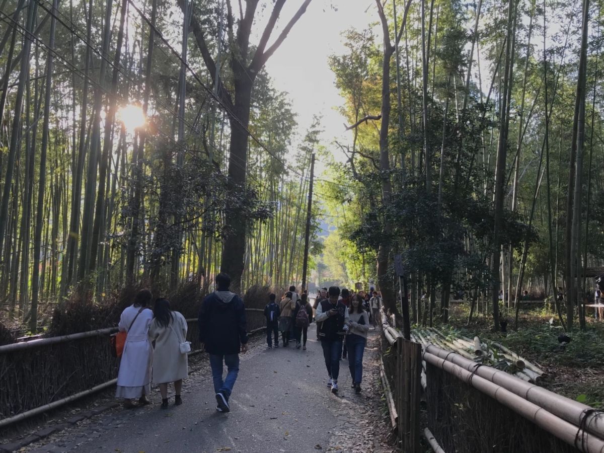 松尾大社・鈴虫寺・渡月橋へ‼︎