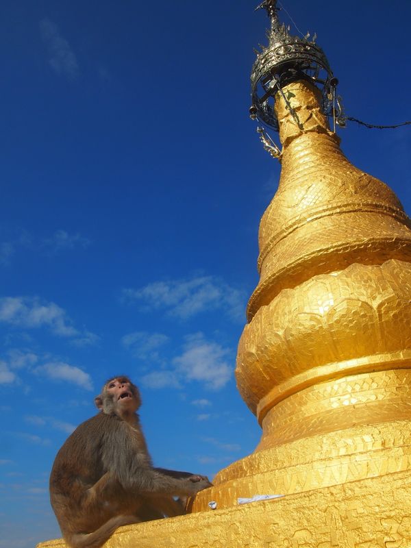 ミャンマー「パガン遺跡で初日の出」の写真：パガン遺跡から初日の出を見るため、ミャン...