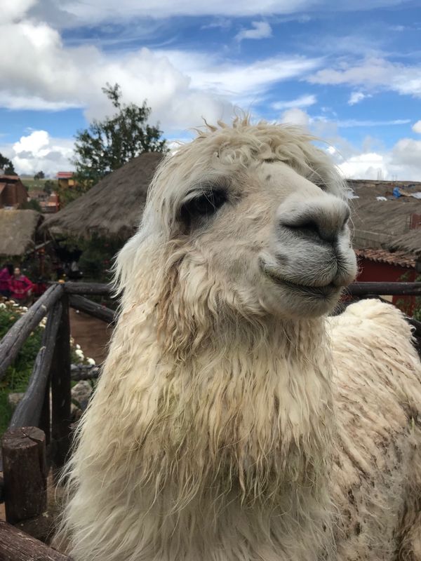 ペルー「鏡張り」の写真