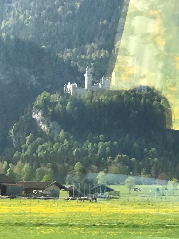 ドイツ・ベルリン「ドイツ旅行」の写真