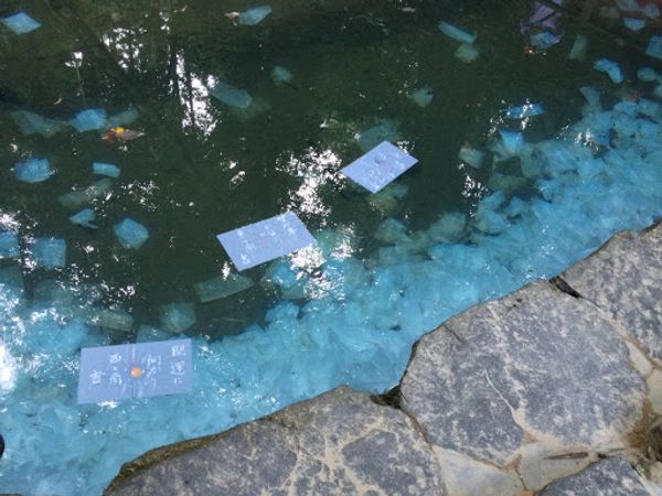 日本・島根県「厳島神社 出雲大社」の写真：水占い
十円玉か百円玉を用紙に乗せて、沈...