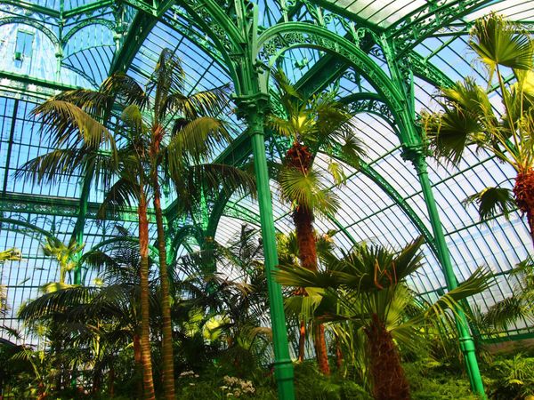 ベルギー・ブリュッセル「ベルギー」の写真