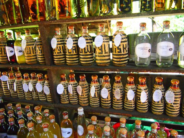 ラオス人民民主共和国・ルアンパバーン「ラオス」の写真