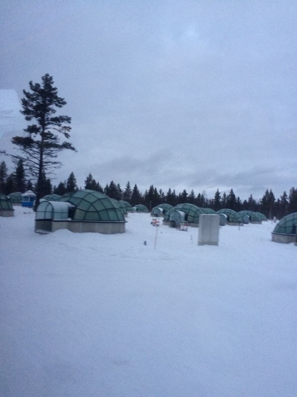 フィンランド・ヘルシンキ「フィンランド」の写真