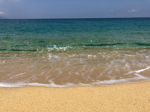 日本・屋久島「2度目の屋久島 ひとり旅」の写真