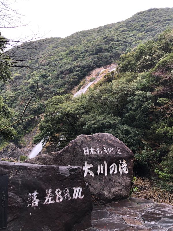 日本・屋久島「初トレッキング ひとり旅」の写真