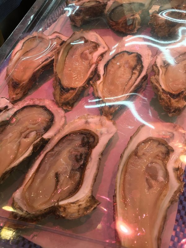 日本・八戸「八戸のウニ旅」の写真