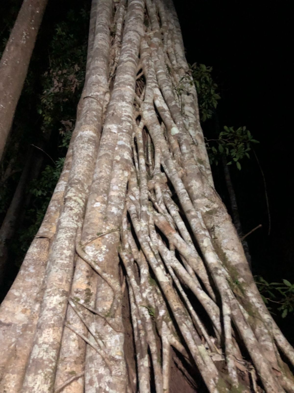 2018/10/5《夜の4WDハマーツアー》