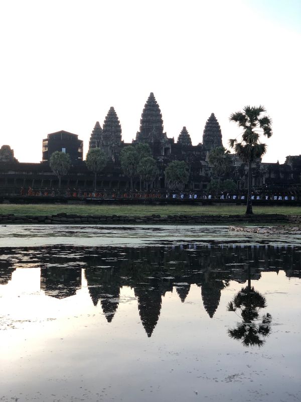 カンボジア・シェムリアップ「カンボジア アンコールワット」の写真