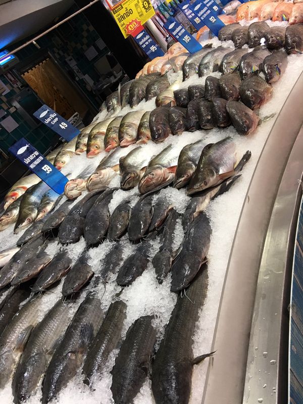 タイ・バンコク「お気楽バンコクひとり旅」の写真