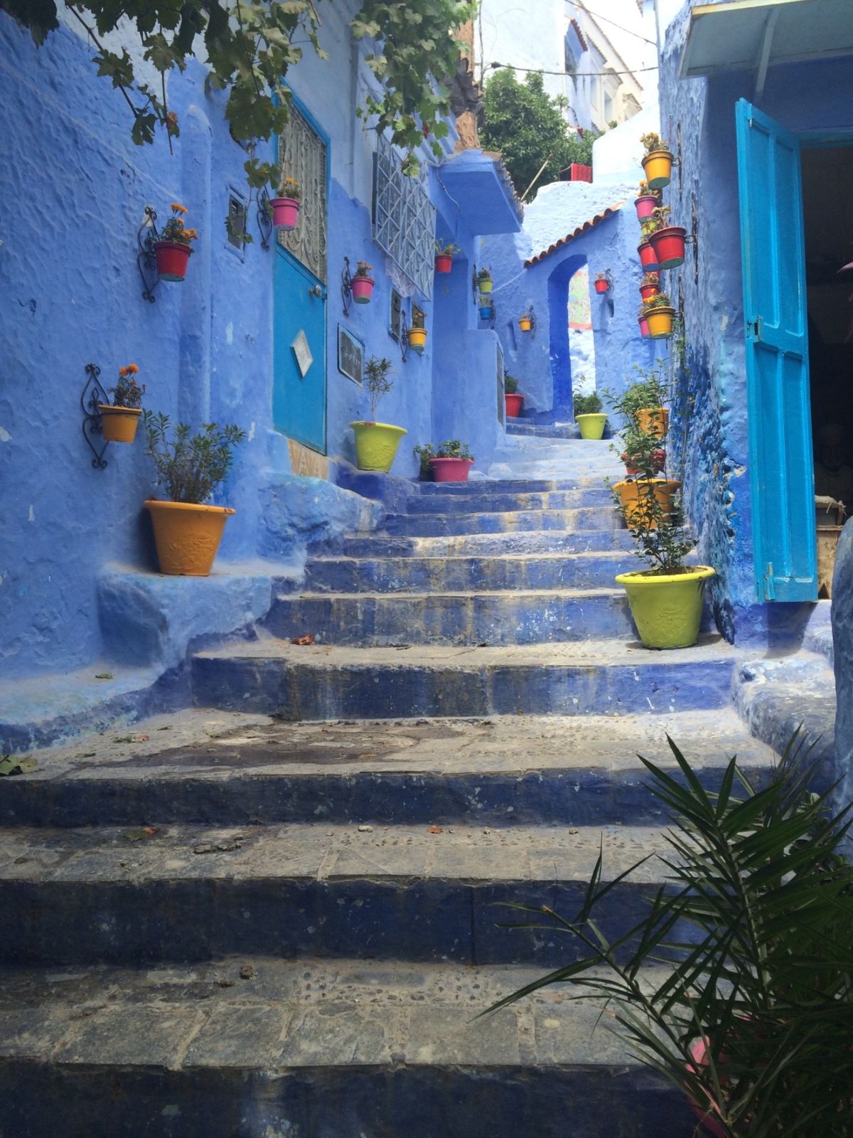 マラケシュ
フェズ
シャウエン
カサブランカ
