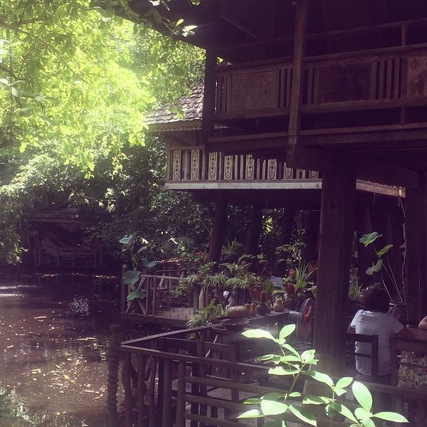 タイ・バンコク、チェンマイ「タイ🇹🇭」の写真