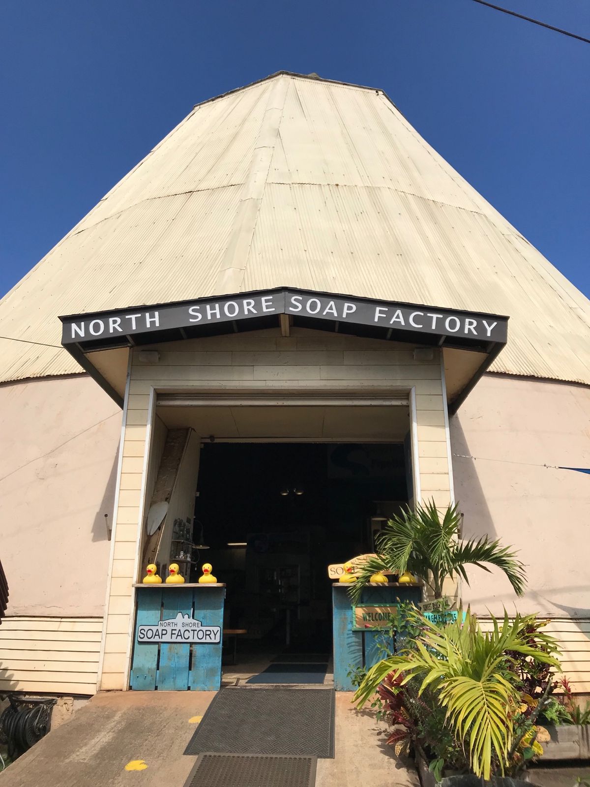 5回目にして初のこの木なんの木♫ドールプランテーション、ソープファクトリー...