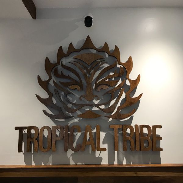 アメリカ(米国)・ホノルル「ハワイ旅」の写真：トロピカルトライブのアサイーボウル
生ハ...