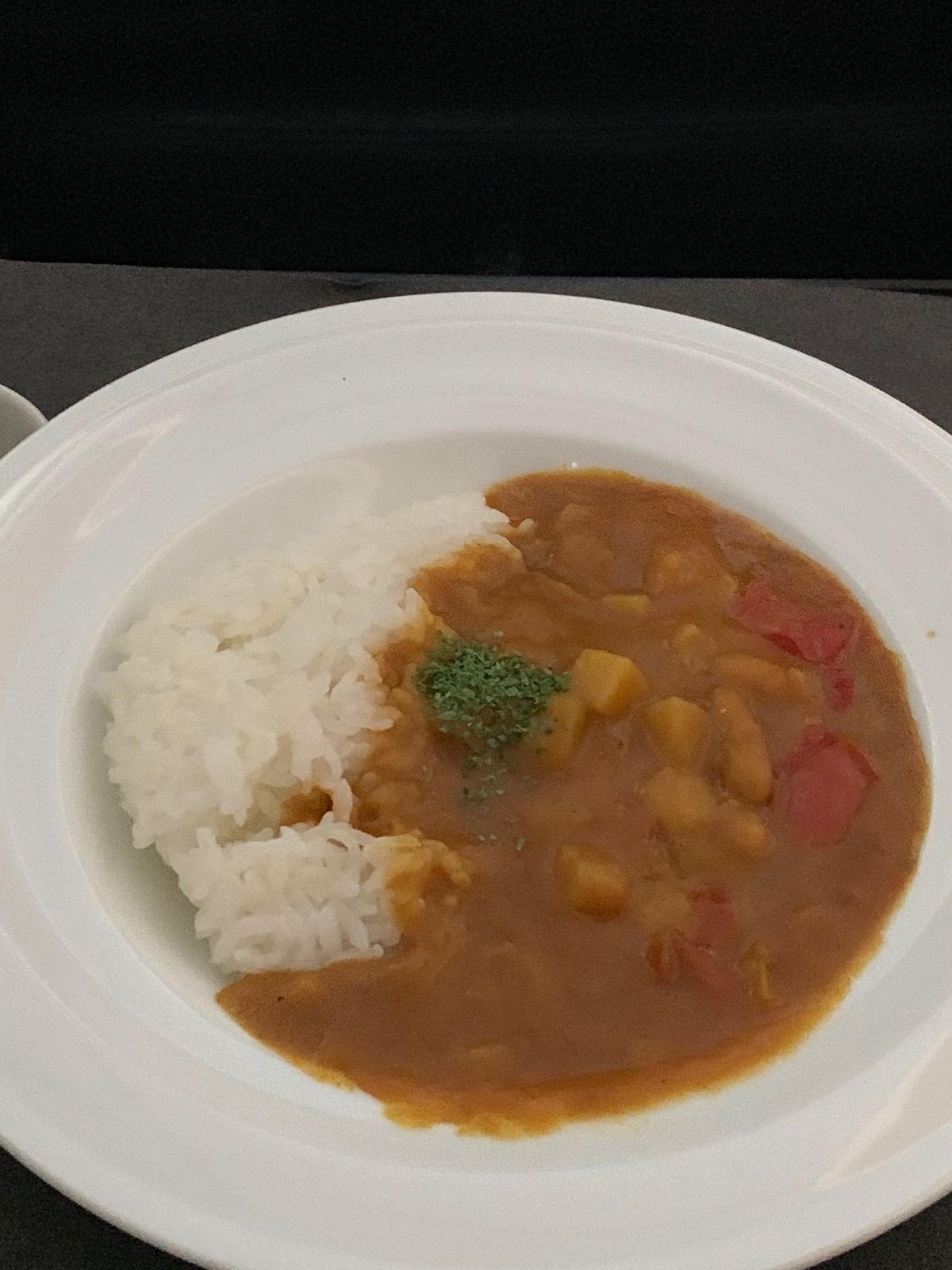 帰りの機内食は豚の角煮と、最後にカレー。

成田からはバスで帰ります。...