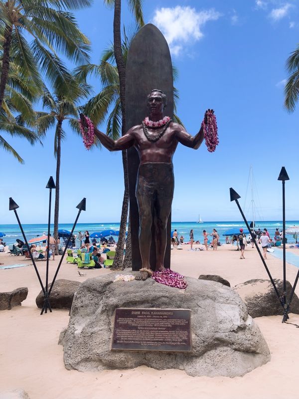 アメリカ(米国)・ハワイ「久しぶりすぎるハワイ旅行」の写真：ホヌジェットに乗りたくてこの日に決めた❣...