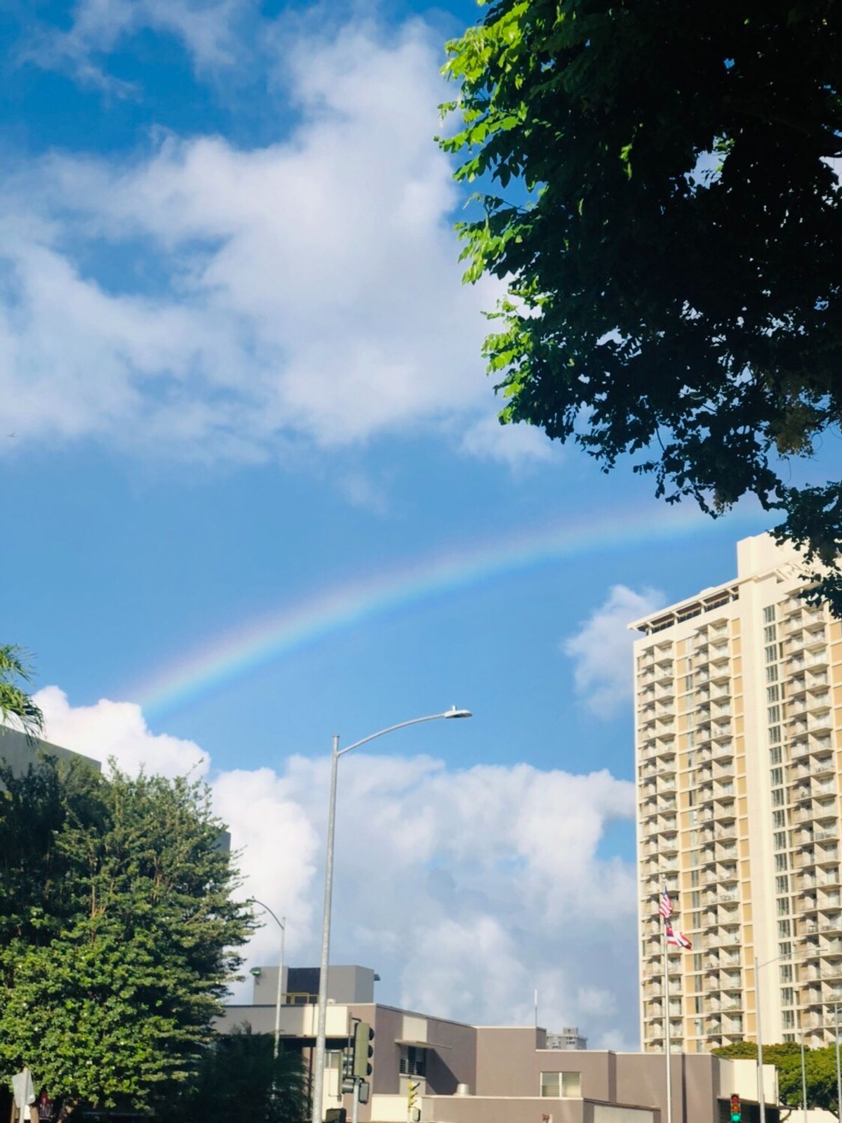 ホヌジェットに乗りたくてこの日に決めた❣️
癒されるハワイ🙆‍♀️
