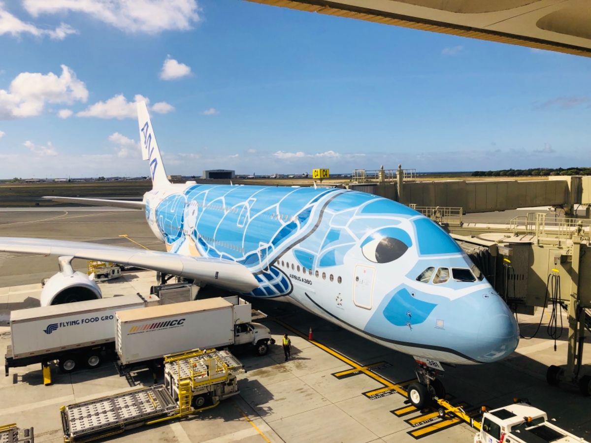 ホヌジェットに乗りたくてこの日に決めた❣️
癒されるハワイ🙆‍♀️