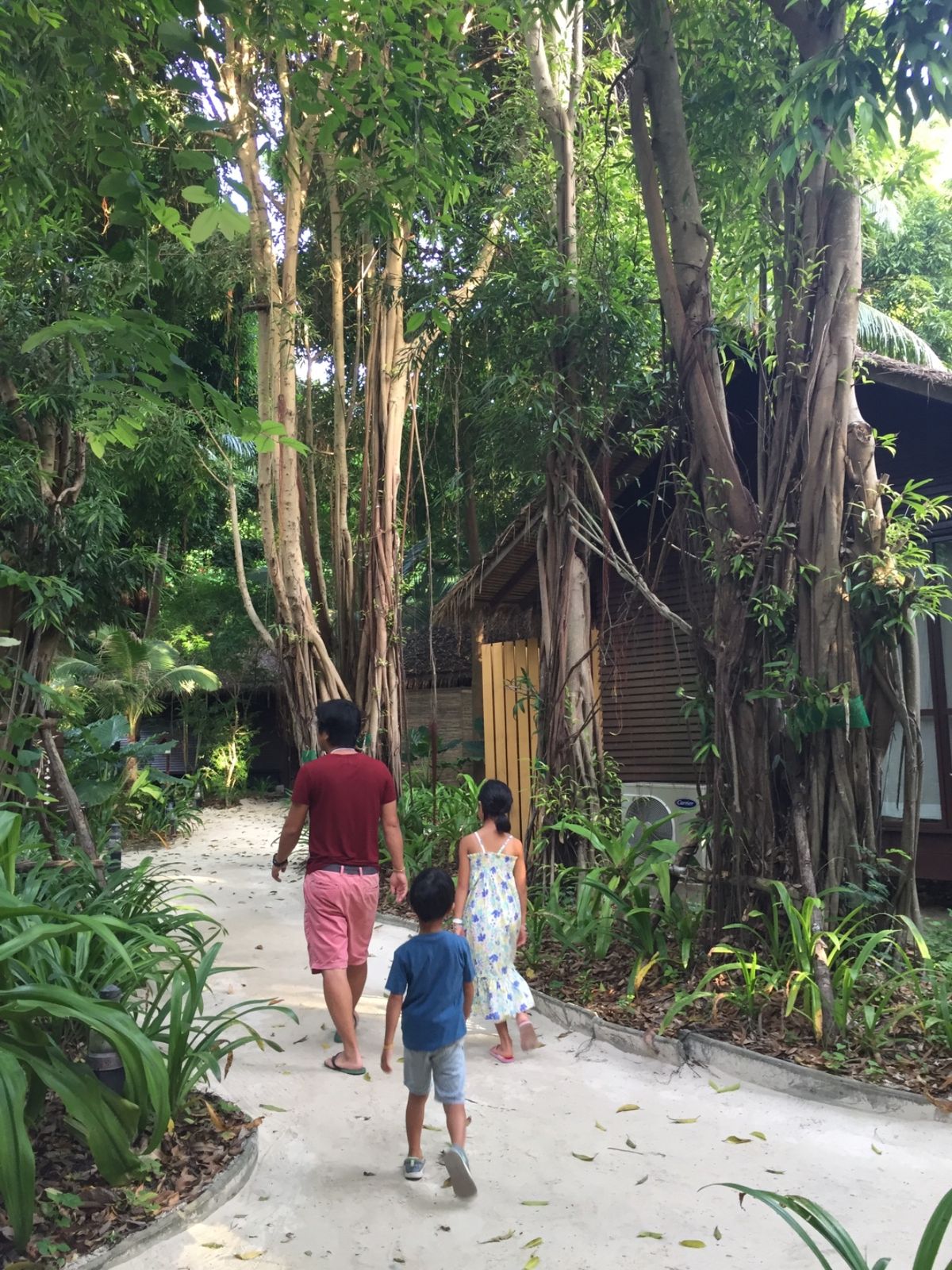 ピピ島のジボラリゾート🏝は、自然の中でのんびり過ごせました〜🥰