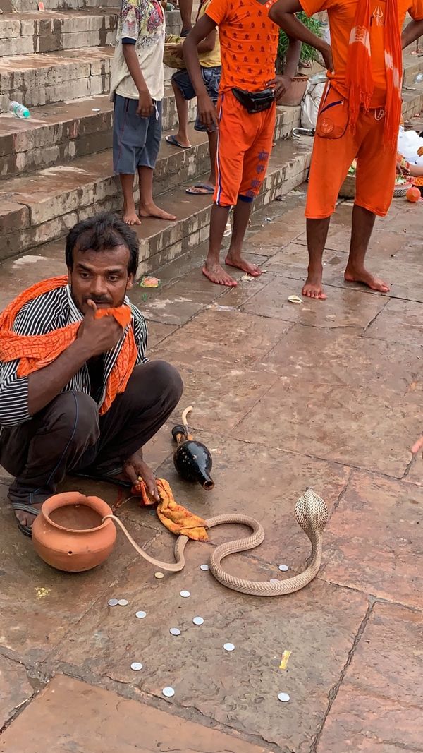 インド・デリー「インド」の写真