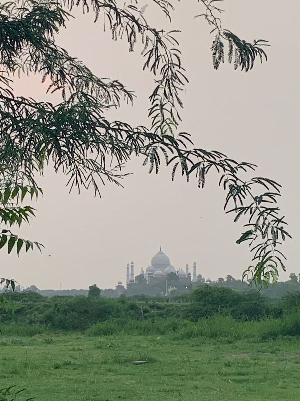 インド・デリー「インド」の写真