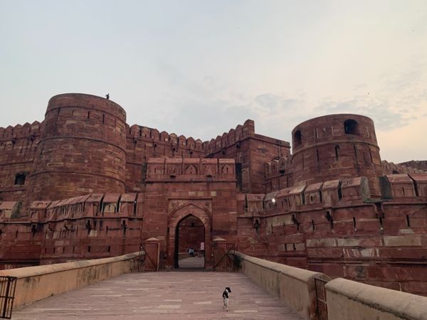 インド・デリー「インド」の写真