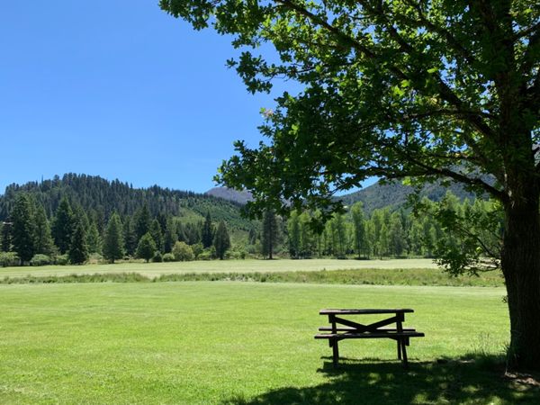 ニュージーランド・クライストチャーチ「NZ(南島) 」の写真