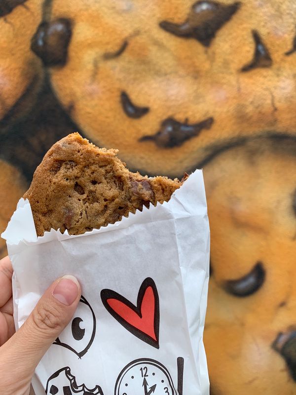 ニュージーランド・クライストチャーチ「NZ(南島) 」の写真