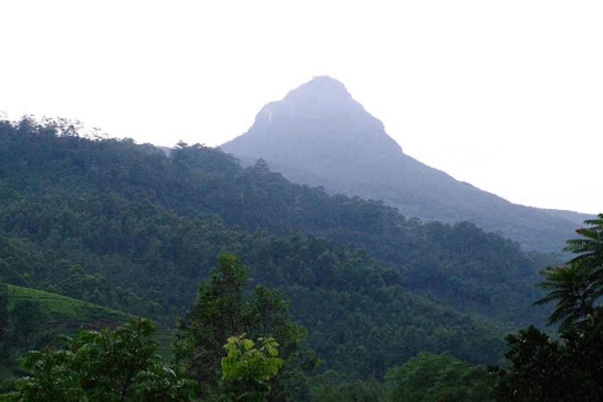 アダムスピーク